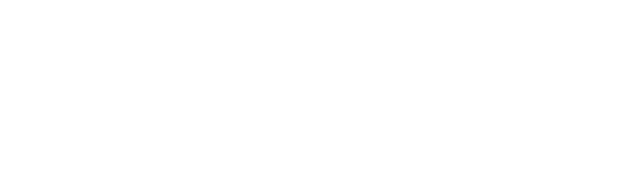 Logo da NYFER Solutions